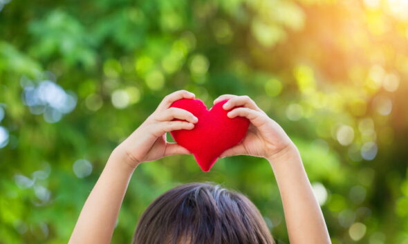 eco-friendly charities