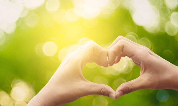 green lifestyle ideas