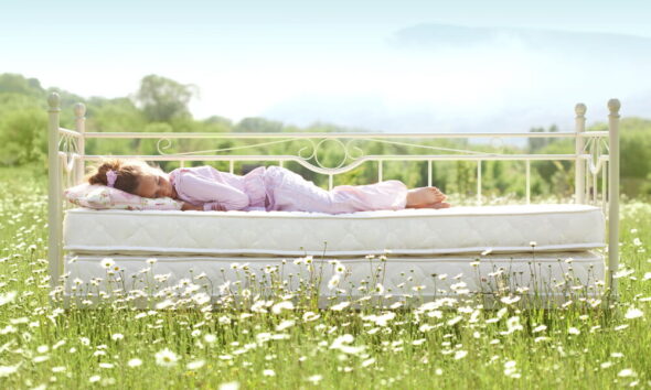 environmental benefits of organic mattress