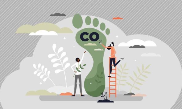 environmental impact of healthcare industry