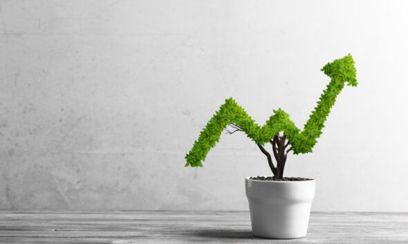 green marketing ideas