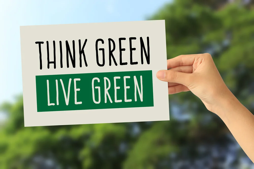 live an eco-friendly life