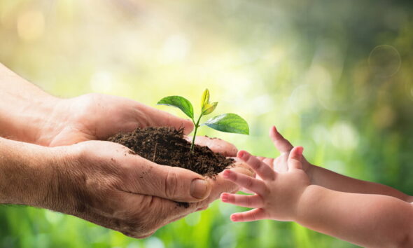 long-term sustainability