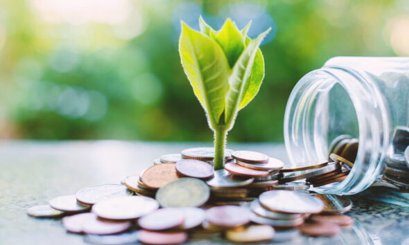 fate of pensions after death for eco-friendly startups