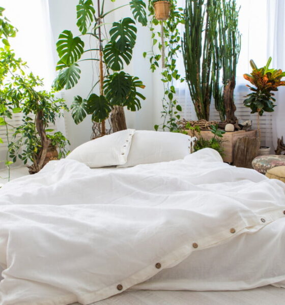 eco-friendly buckwheat pillows