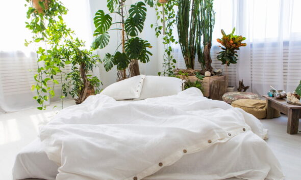 eco-friendly buckwheat pillows