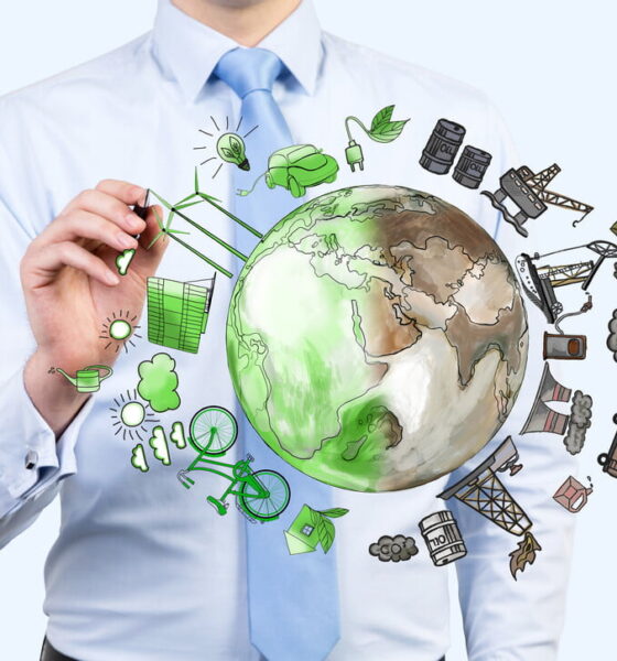 eco-friendly business survival guidelines