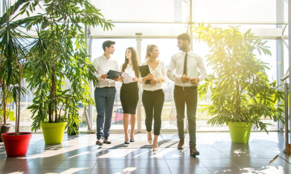 eco-friendly open plan offices