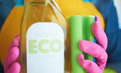 eco-friendly cleaning tips