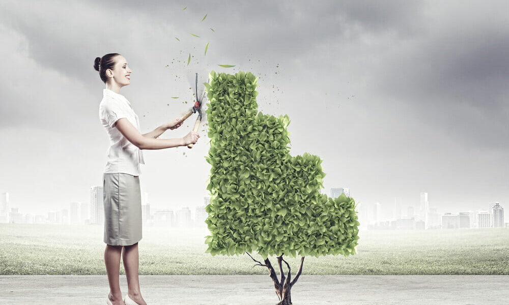 eco-friendly entrepreneurs with startups