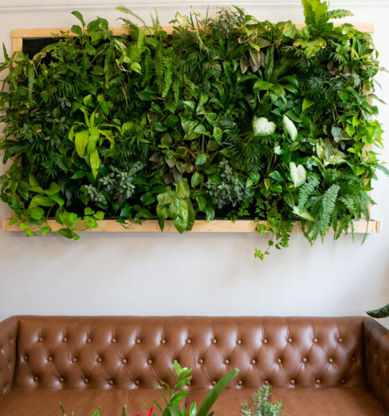 living wall for green home or business