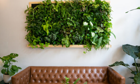 living wall for green home or business