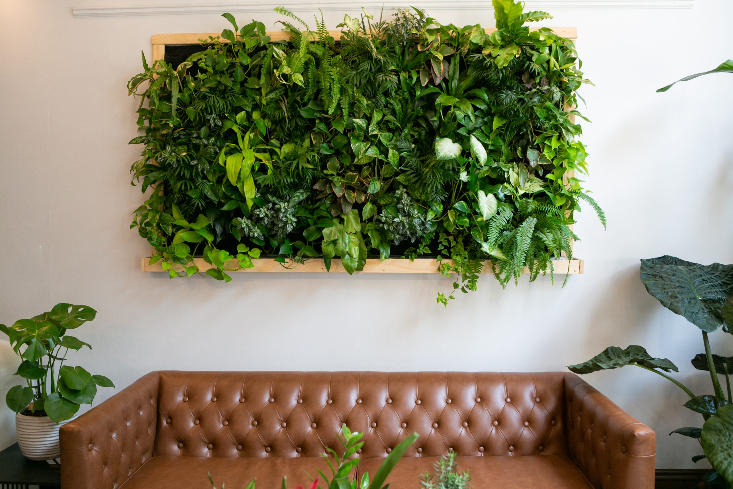 living wall for green home or business