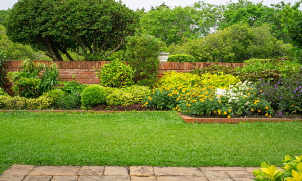 eco-friendly tree maintenance