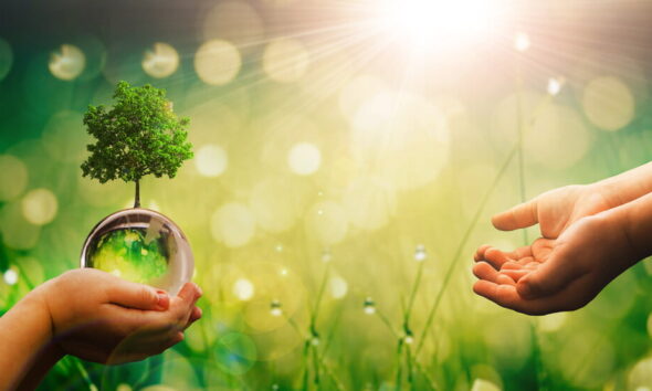 sustainability movement guide