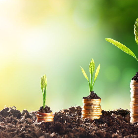 green business financing options