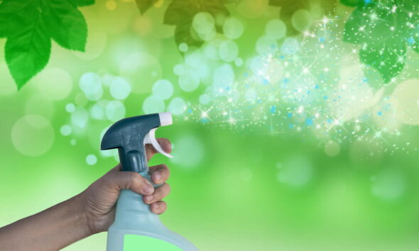 eco-friendly cleaning products