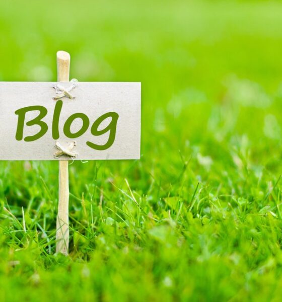 green marketing with blogging