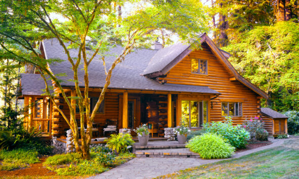 the popularity of eco-friendly log cabins