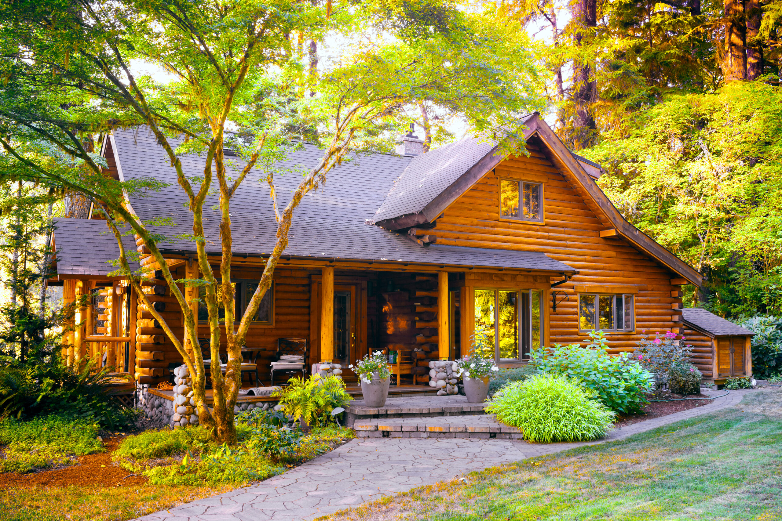 the popularity of eco-friendly log cabins