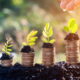esg and sustainable investing