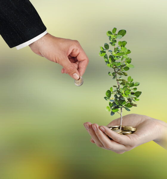 eco-friendly investing in fast paced esg markets