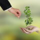 eco-friendly investing in fast paced esg markets