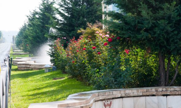 eco-friendly landscaping