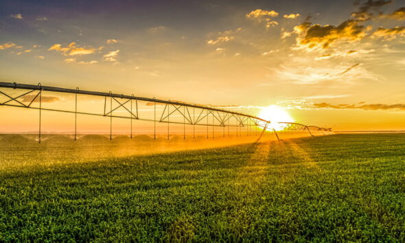 eco-friendly plant operations