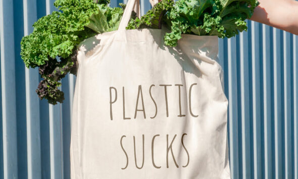 plastic-free packaging for businesses