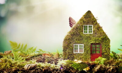 tips to build an eco-friendly home