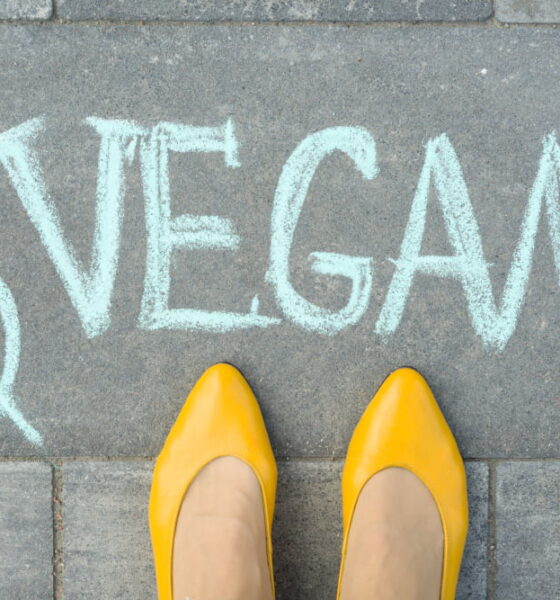 vegan shoes and sustainability