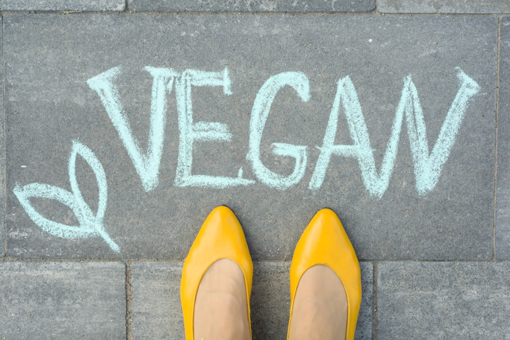vegan shoes and sustainability