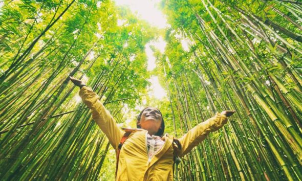 eco-friendly travel tips for people visiting hawaii