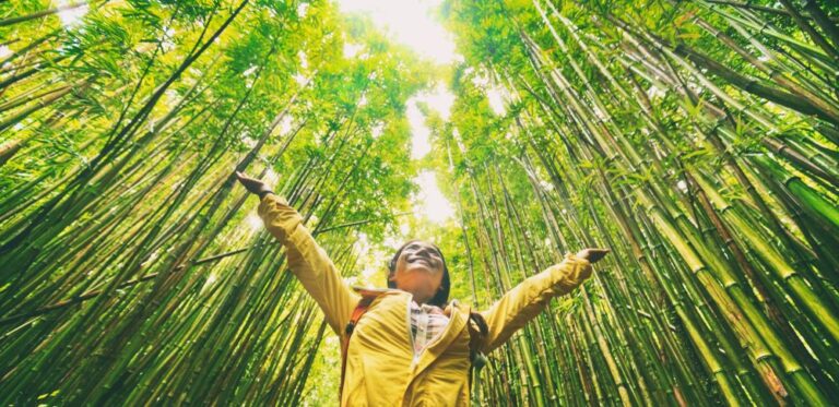 eco-friendly travel tips for people visiting hawaii