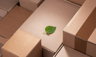 eco-friendly shipping practices