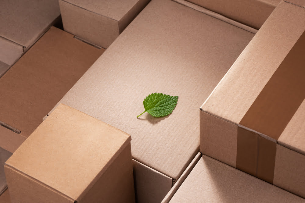 eco-friendly shipping practices
