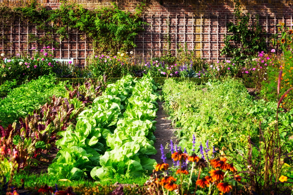 benefits of having an eco-friendly garden