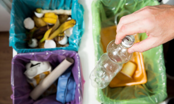 waste management tips in your home