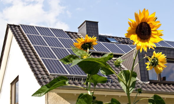 buying your first eco-friendly home