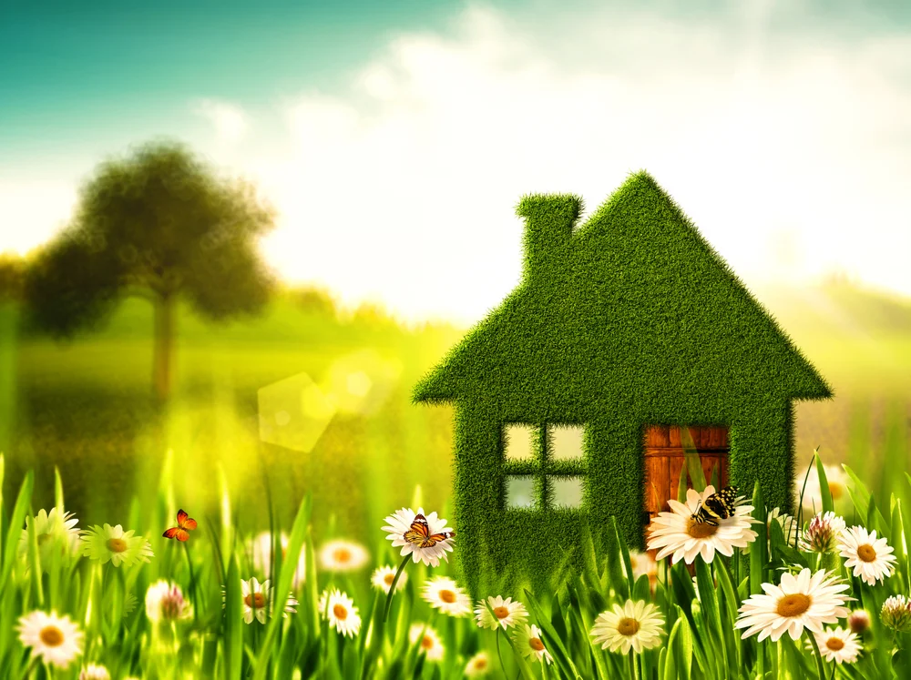 green homeowners must prioritize their curb appeal