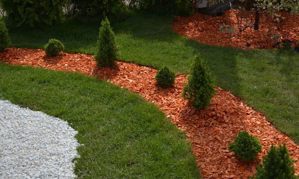 mulch for organic orchards