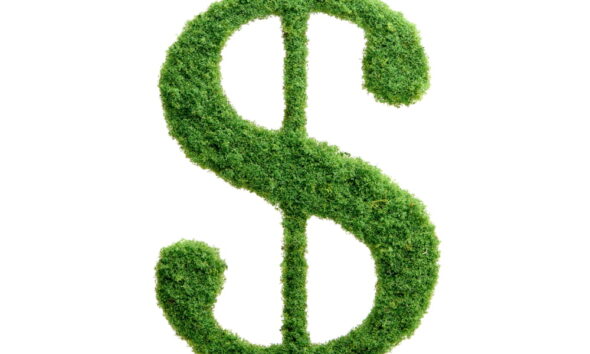 frugal living tips to save money