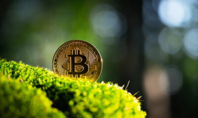 eco-friendly alternatives to bitcoin