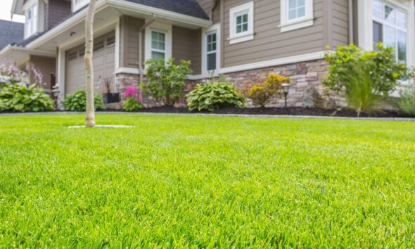 tips to create an eco-friendly outdoor area for the summer