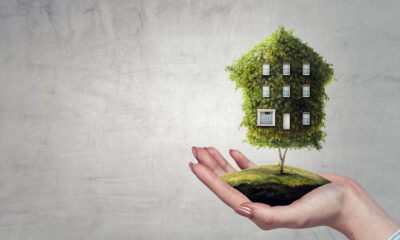 green sustainable homes