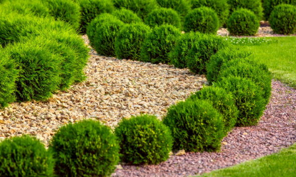 eco-friendly landscaping techniques