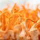 Cordyceps are great for people following eco-friendly healthy diets