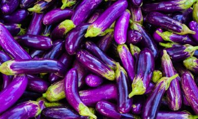 aubergine recipes for eco-friendly vegans