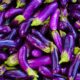 aubergine recipes for eco-friendly vegans